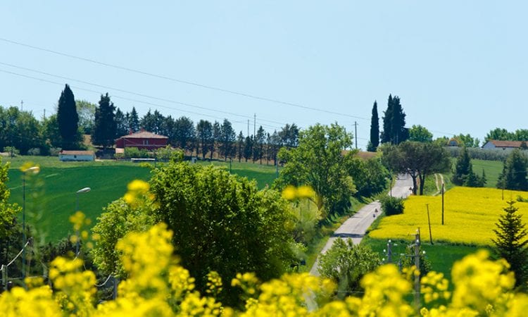 agriturismo aldolcefarniente PAESAGGIO